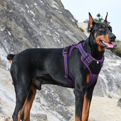Pechera para perros de raza grande modelo 400