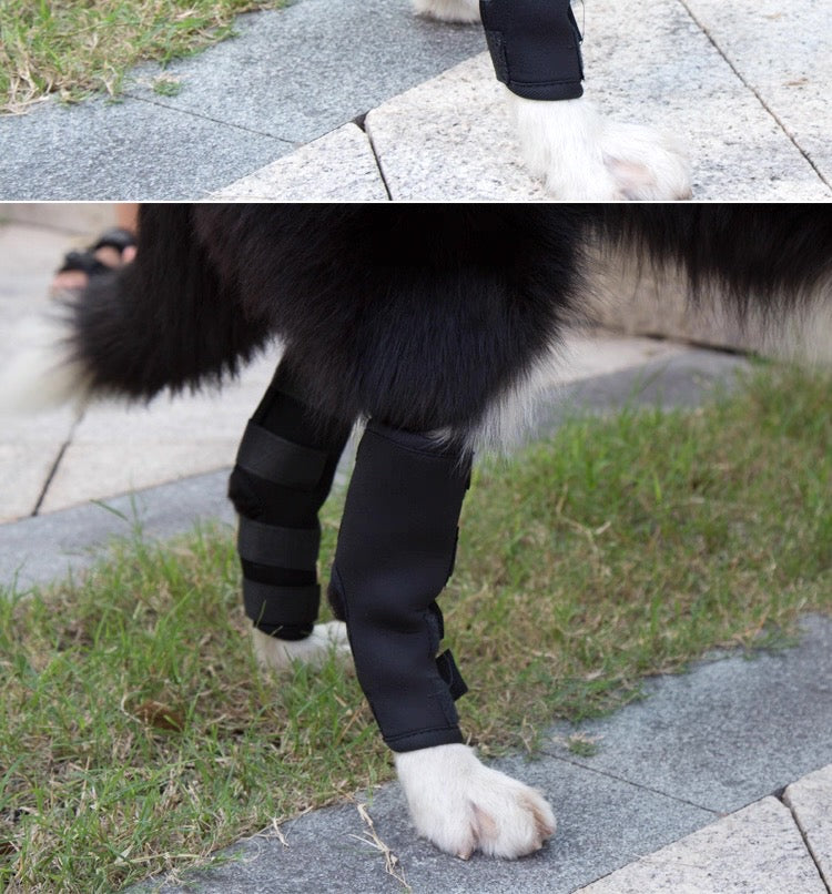 Soporte trasero y delantero para perros