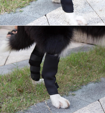 Soporte trasero y delantero para perros