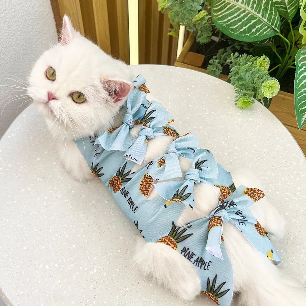 Traje de recuperación para mascota