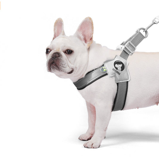 Pechera gris con correa para mascotas  modelo HAR202