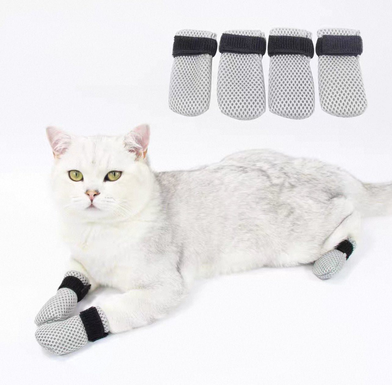 Zapatos anti arañazos para gatos