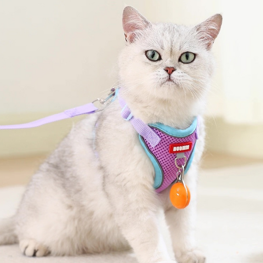 Pechera anti escape reflectiva para gatos