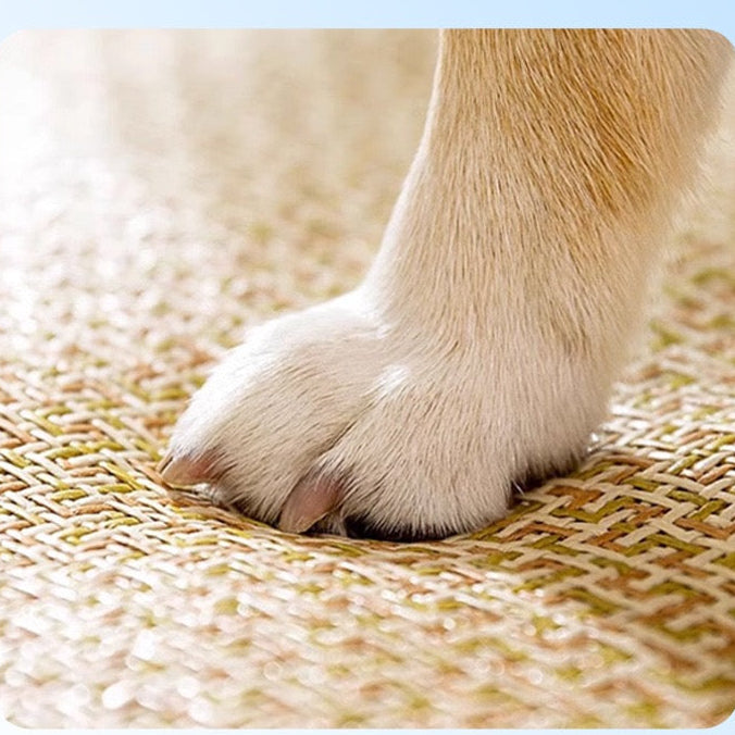 Cama de mimbre para mascotas (Dos tamaños disponibles)