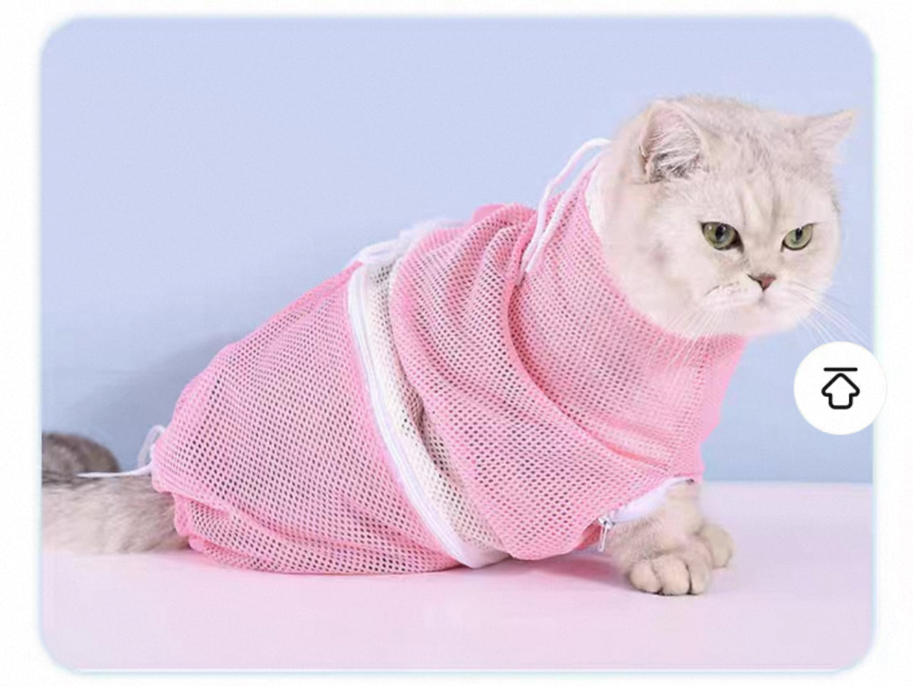 Malla para baño, corte de uñas, limpieza de oído etc de mascotas MODELO #2