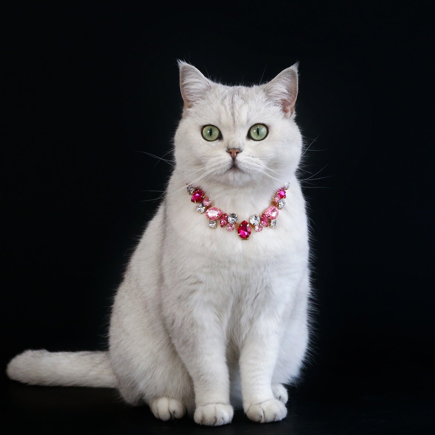 Collar brillante de piedra de colores para mascotas