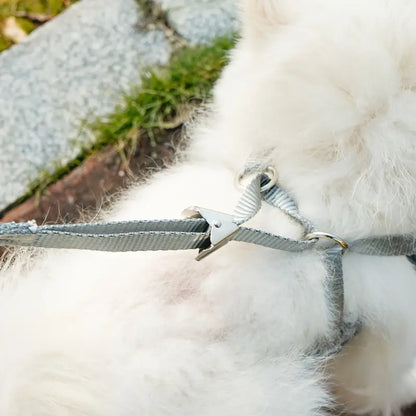 Pechera elegante de cuadros con lazo para gatos