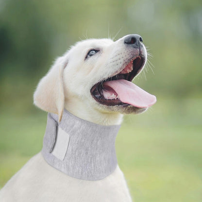 Cono inmovilizador para mascotas