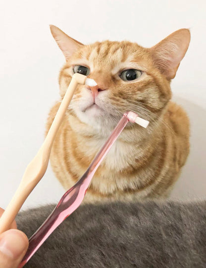 Cepillo dental pequeño para gatos