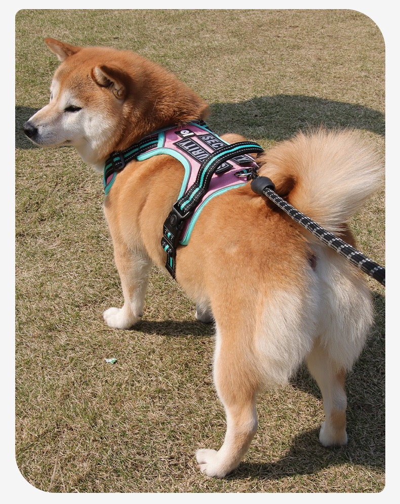 Pechera con correa modelo 430 para perros grandes