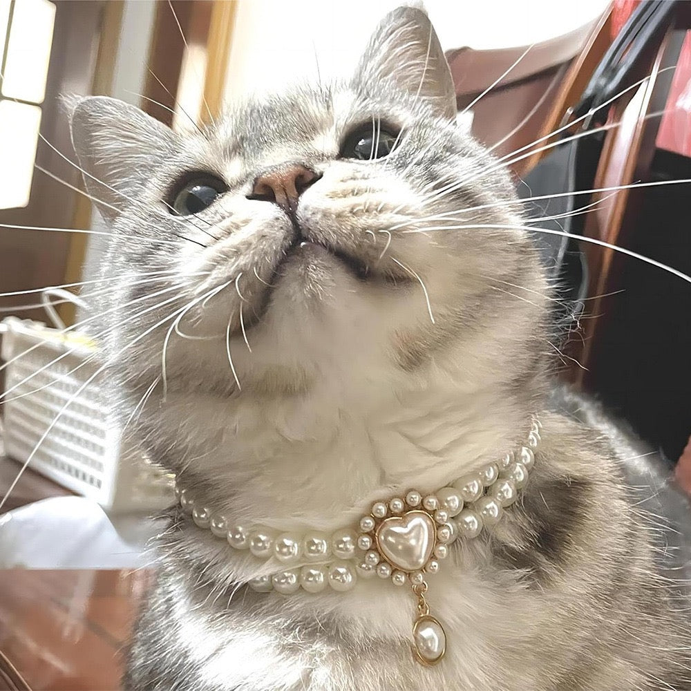 Collar brillante de perlas para mascotas