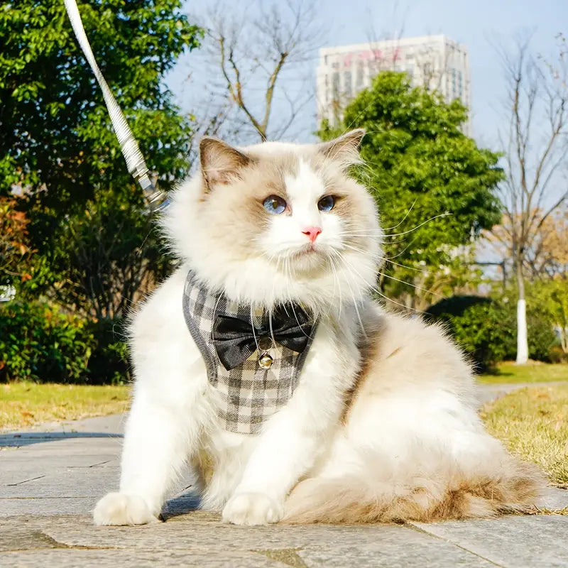 Pechera elegante de cuadros con lazo para gatos