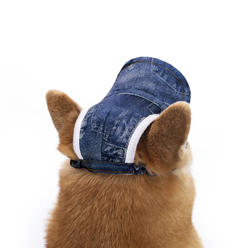 Gorras elegantes para mascotas