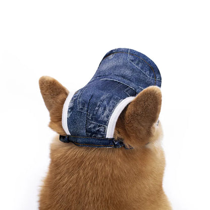 Gorras elegantes para mascotas