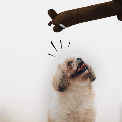 Juguetes de peluches variados para perros