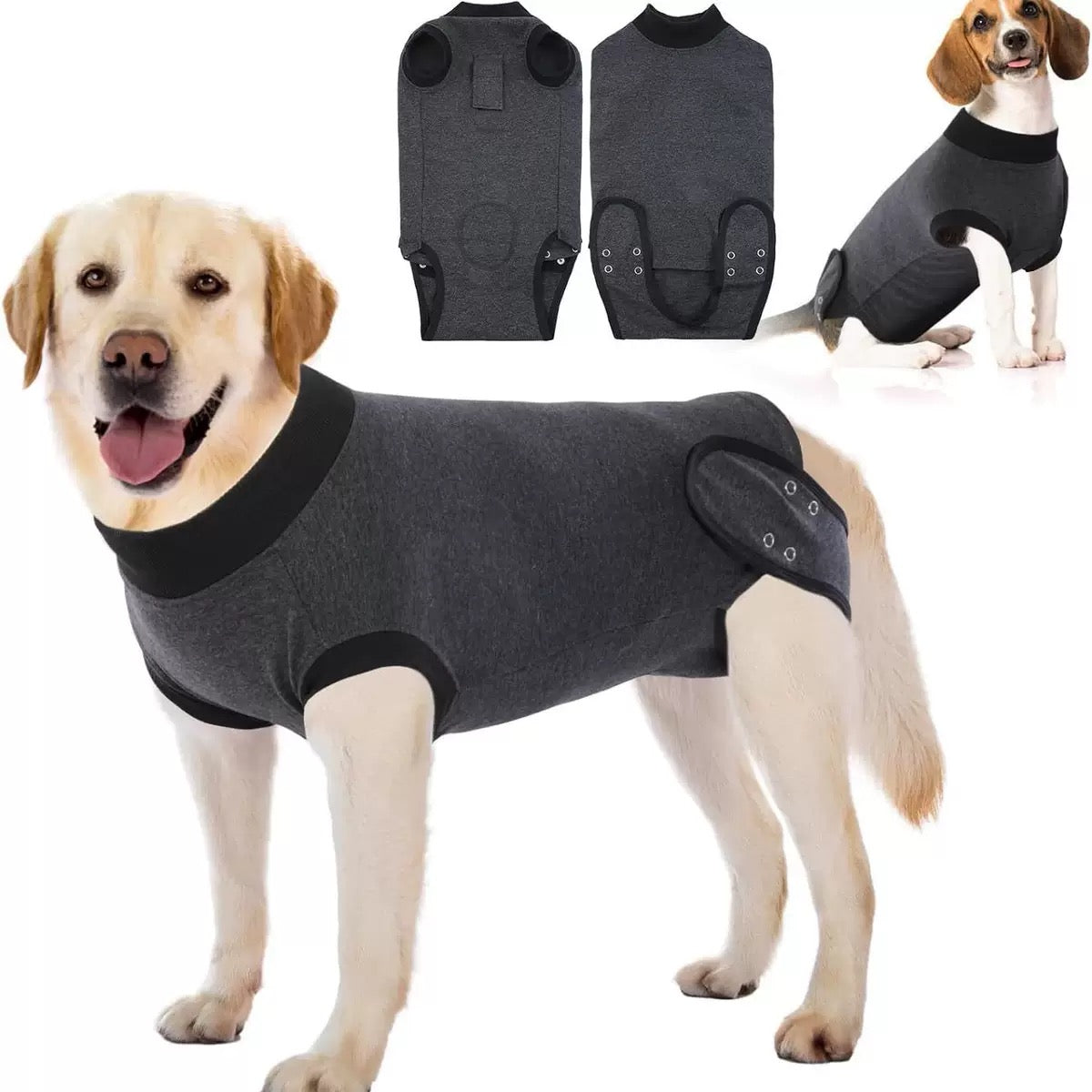 Traje postoperatorio #T22 para perros