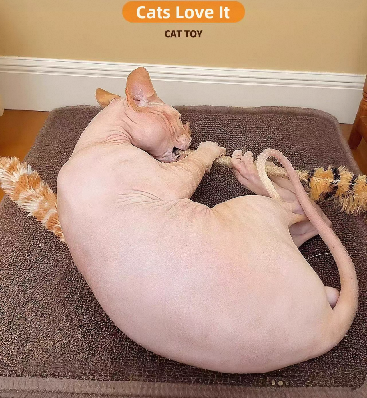 Cañitas de pluma y sisal para gatos