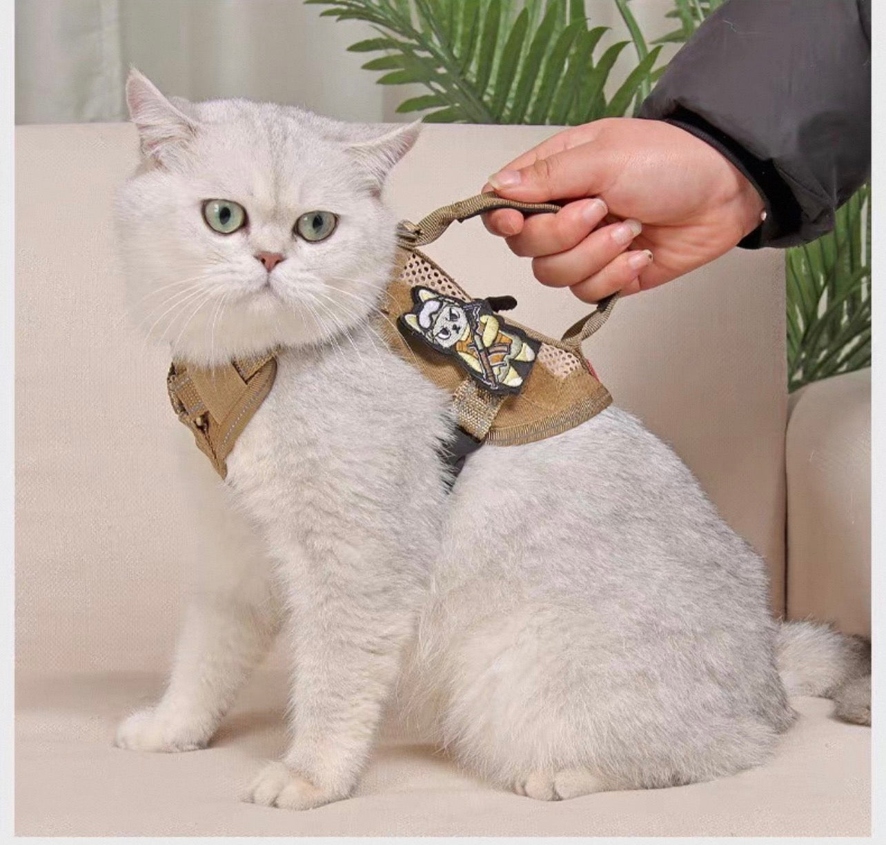 Pechera tactica para gatos HAR08