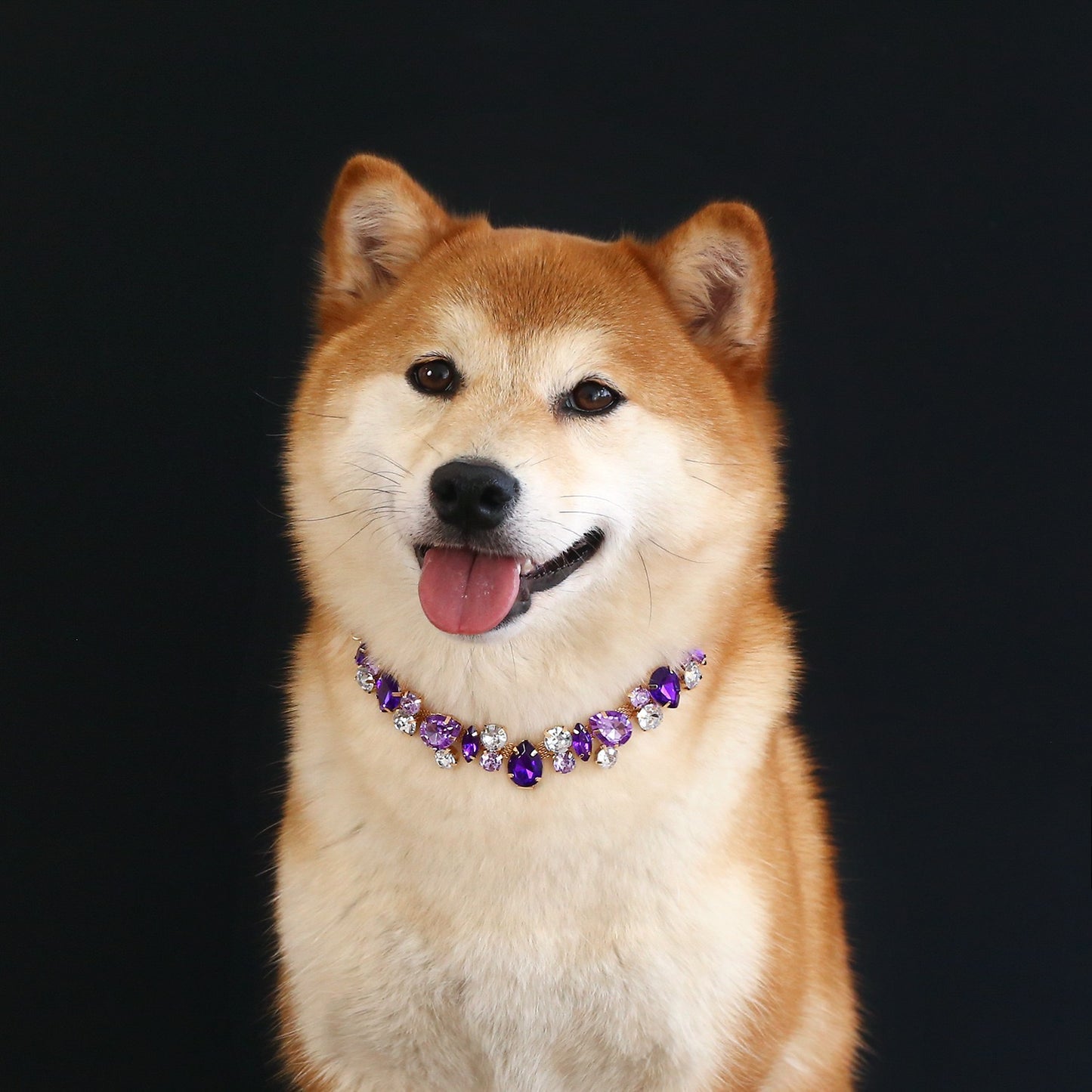 Collar brillante de piedra de colores para mascotas