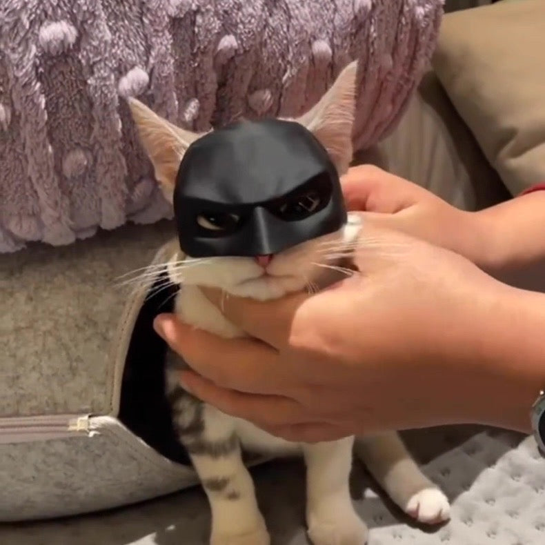 Máscara de batman para gatos