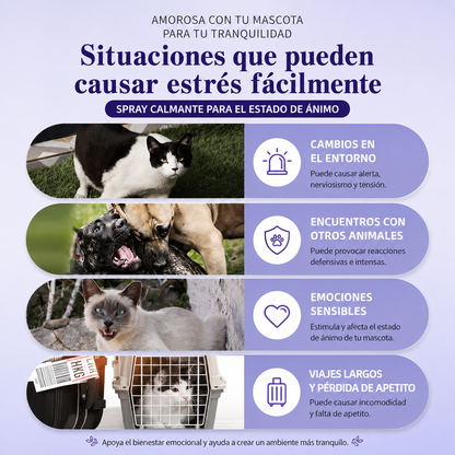 Spray calmante Bioline de lavanda para perros y gatos 120ml