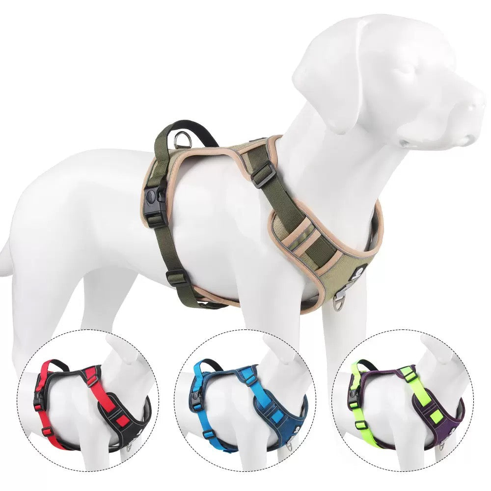 Pechera con correa para razas medianas modelo HAR339