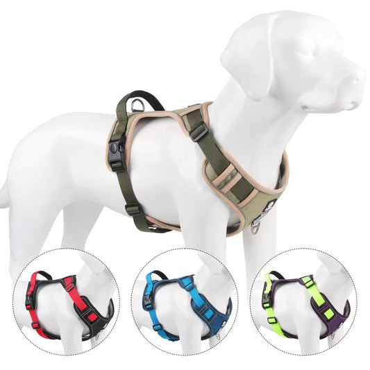 Pechera con correa para razas medianas modelo HAR339