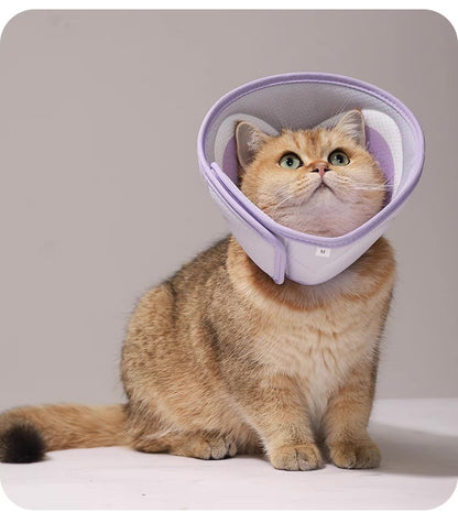 Cono isabelino suave para gatos  y perros