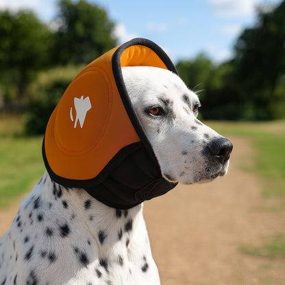 Orejeras calmantes y antiruido para perros