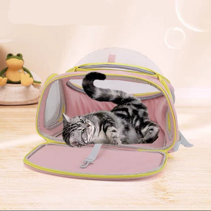 Mochila para mascotas estilo burbuja