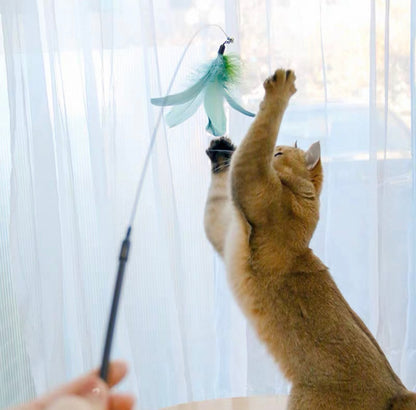 Cañita para gatos con plumas