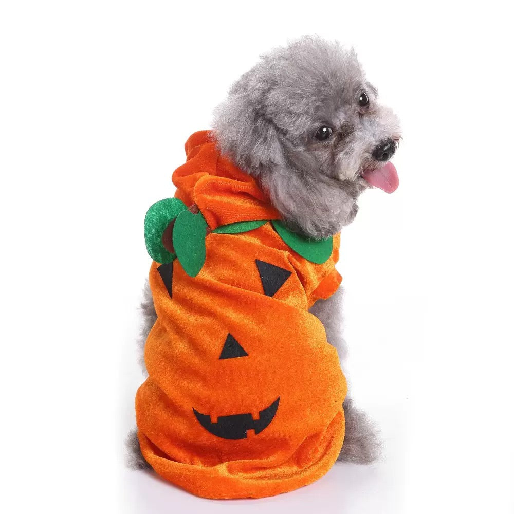 Disfraz de calabaza para mascotas modelo SDZ24