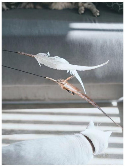 Cañita de gatos 160cm de largo