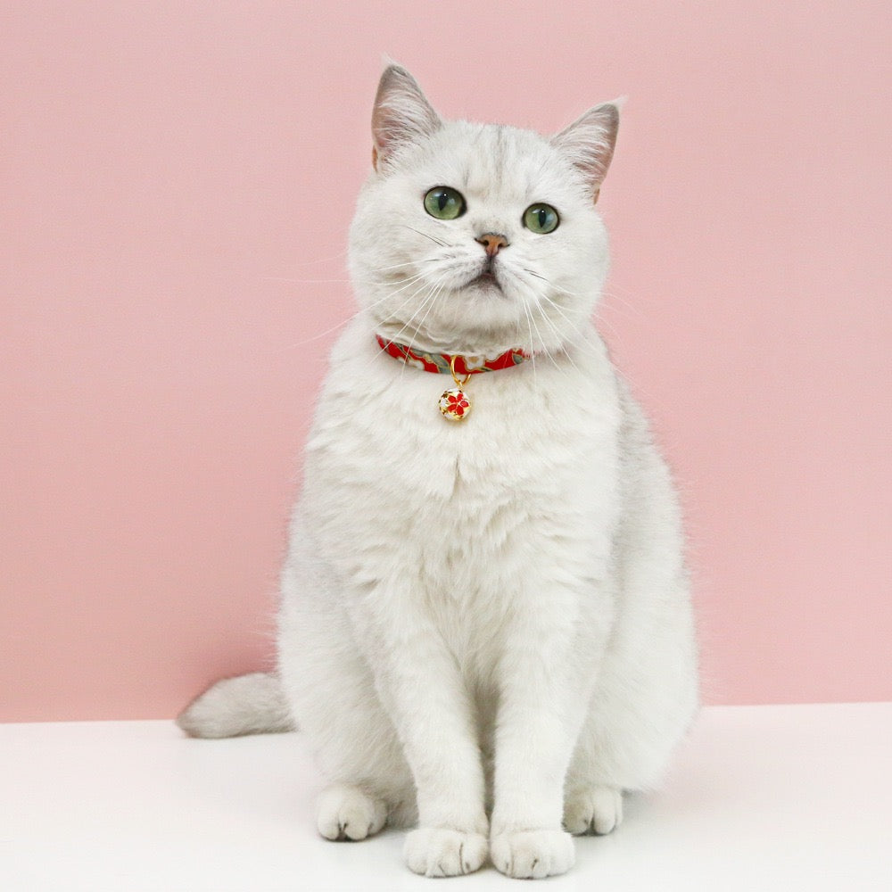 Collar para gatos con estampado