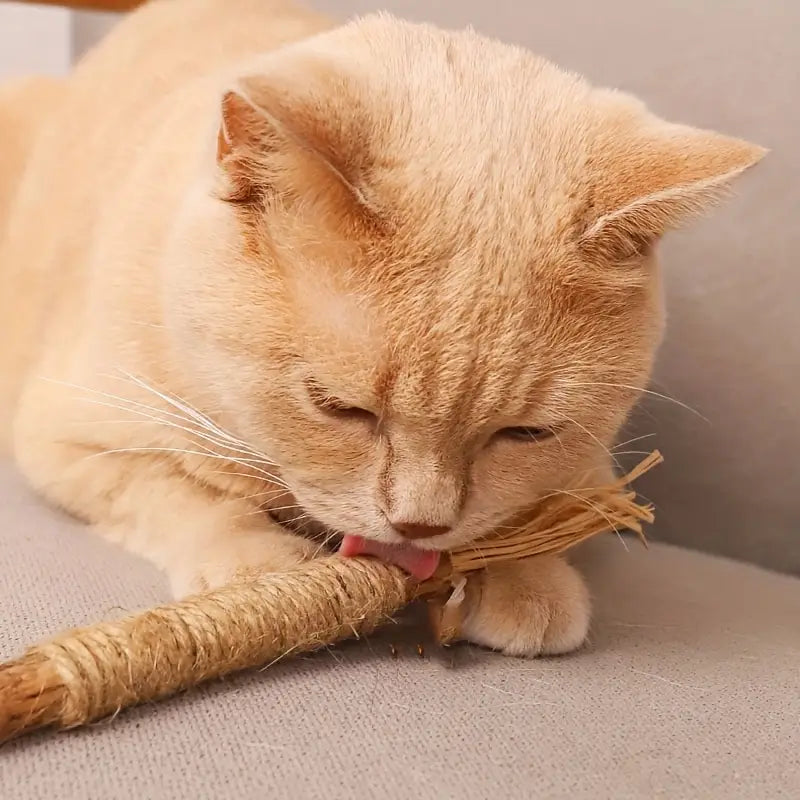 Palito de matatabi para gatos 1un