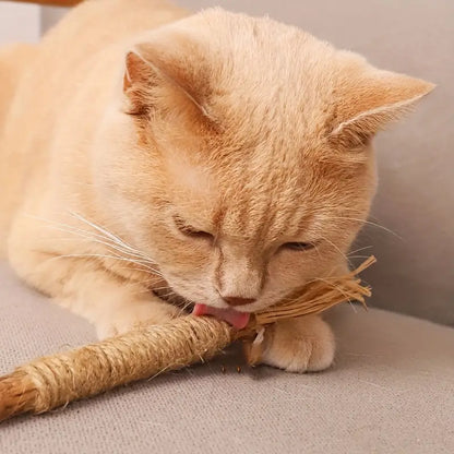 Palito de matatabi para gatos 1un