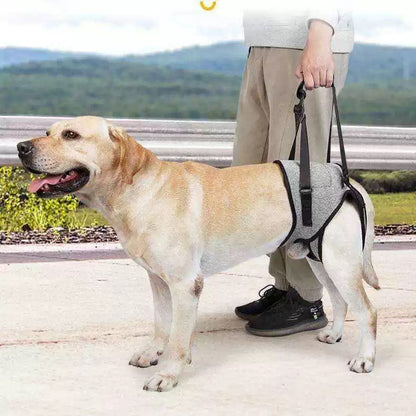 Soporte para perros ancianos o problemas de movilidad (Modelo 007)