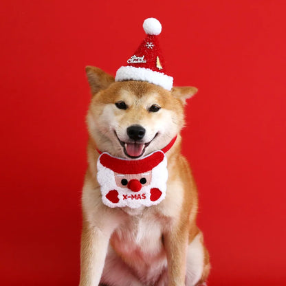 Caja de regalo de navidad para mascotas