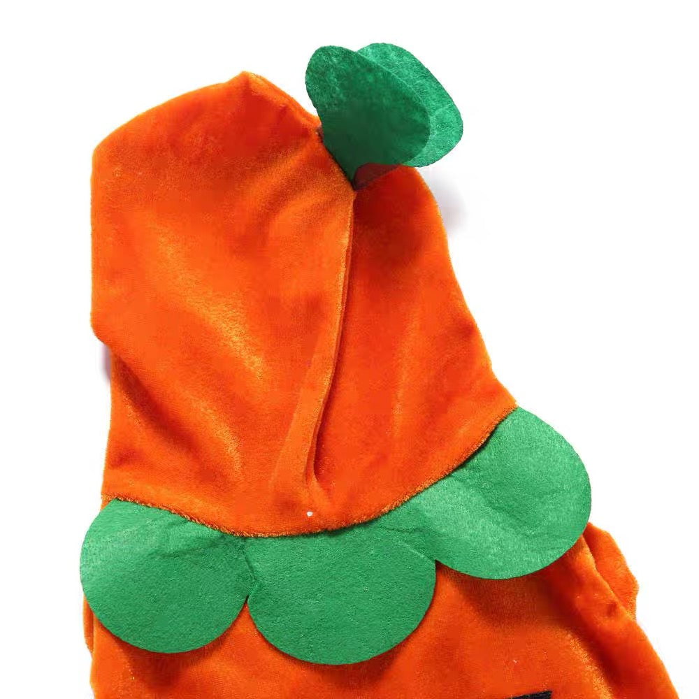 Disfraz de calabaza para mascotas modelo SDZ24