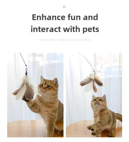 Cañita para gatos con plumas