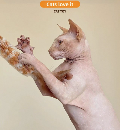 Cañitas de pluma y sisal para gatos