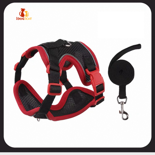 Pechera con correa anti escape reflectiva para gatos