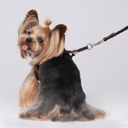 Pechera elegante para mascotas raza pequeña