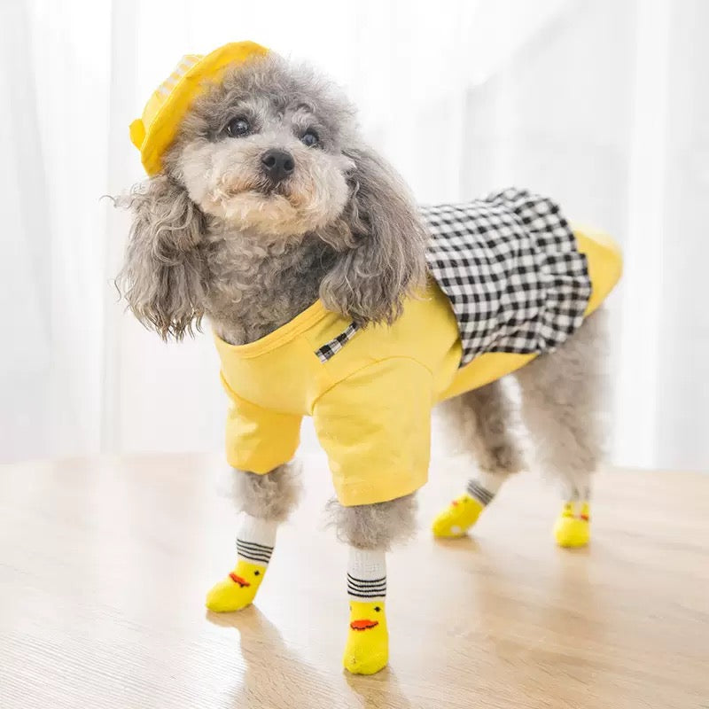 Medias para mascotas pequeñas (Mascotas pequeñas)