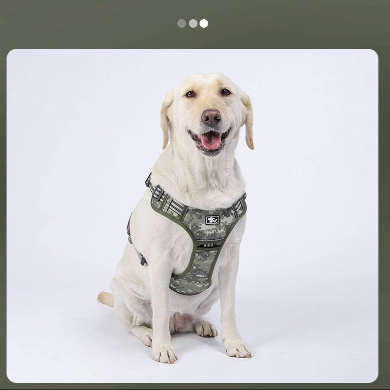 Pechera con correa para perros de raza grande modelo 426