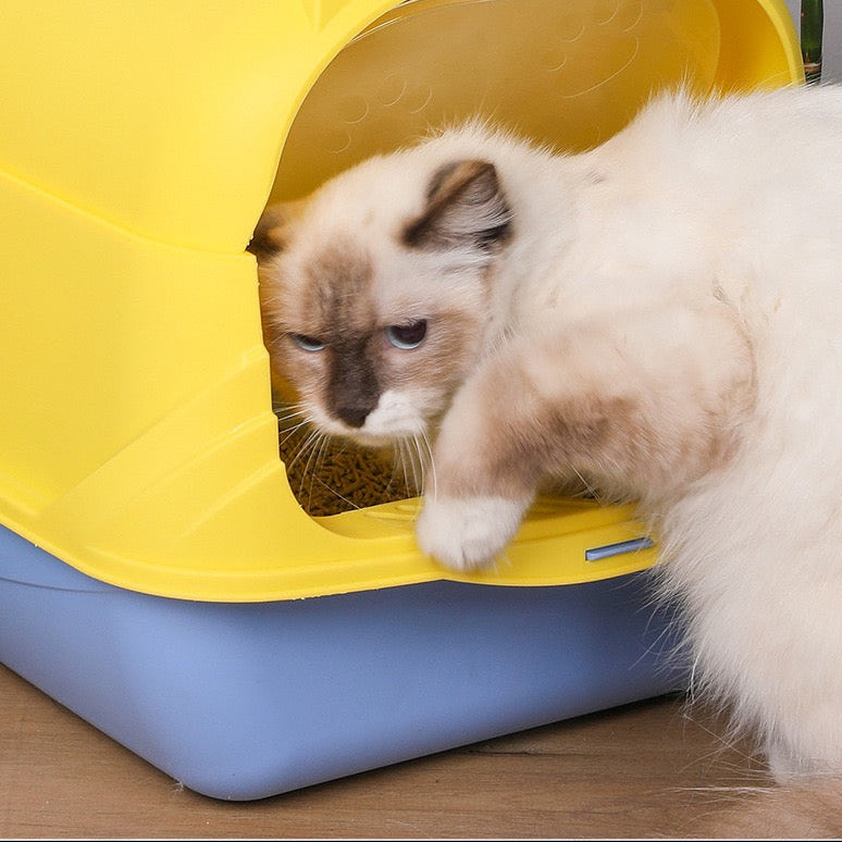 Arenero cerrado oreja de gatito pequeño #302