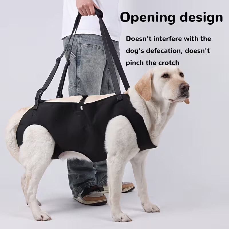 Soporte para perros ancianos o problemas articulares (Modelo 006)