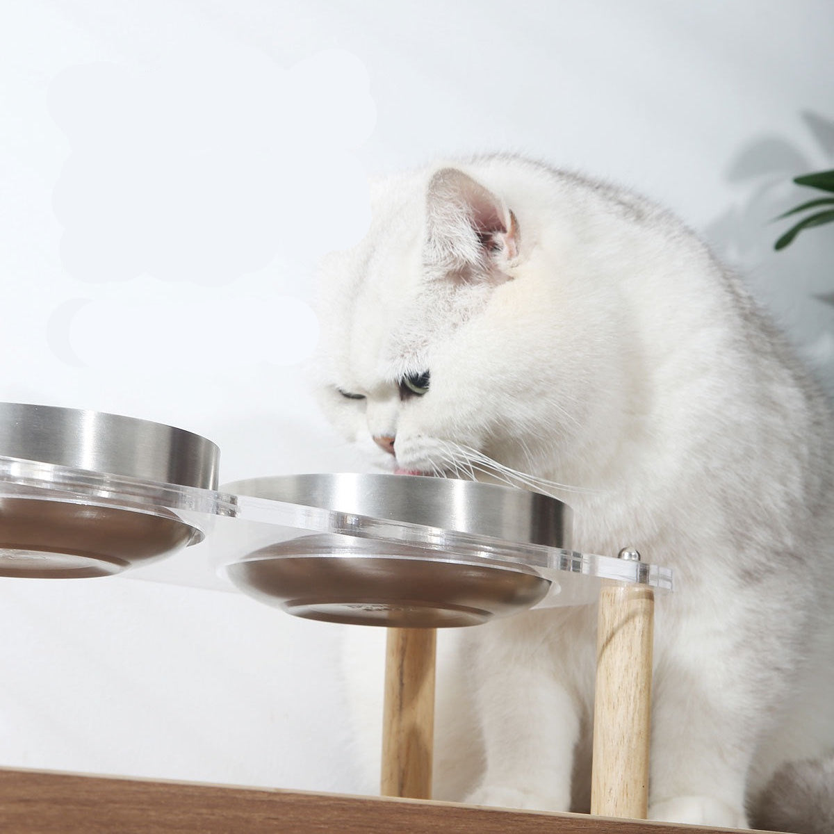 Comedero elevado de vidrio doble