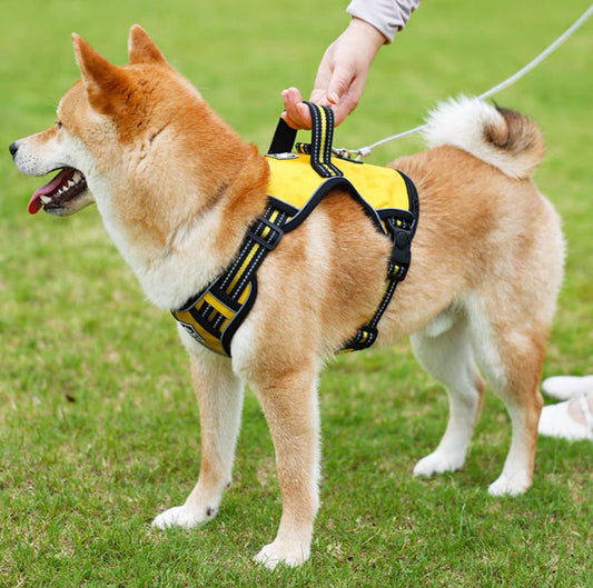Pechera con correa para perros medianos y grandes