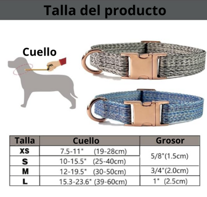 Collar con hebilla de acero resistente